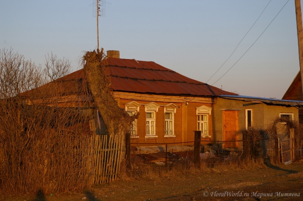 Дом в деревне  старое в 2007 году
