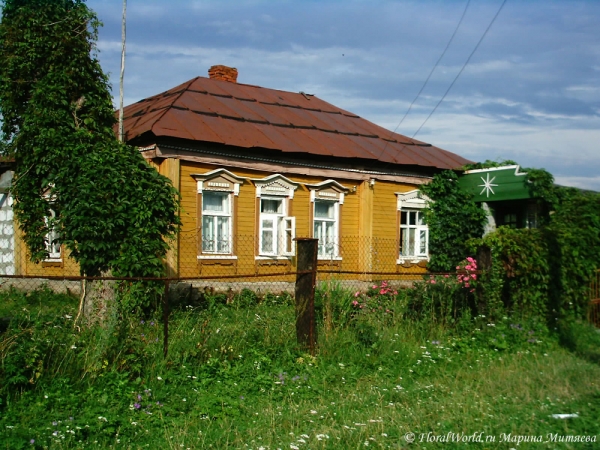 Дом в деревне  старое в в 2005 году
