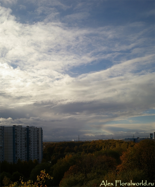 Осенний день в Москве
Ключевые слова: осень москва фото