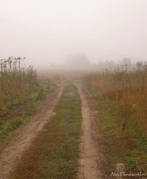 Утро туманное
Ключевые слова: утро туман осень фото