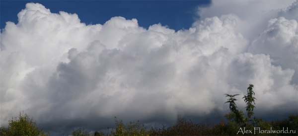Осенние облака
Ключевые слова: осень облака фото