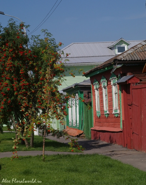 Внутри кремля остались милые старые домишки
Ключевые слова: кремль коломна