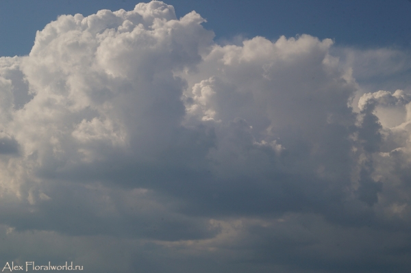 Облака, лето
Ключевые слова: лето фото небо облака кучевые