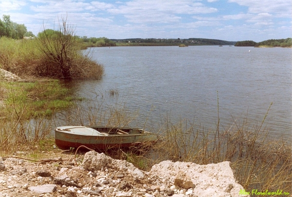 Река Ока, пейзаж с лодкой.
Ключевые слова: Ока река лодка вода небо лето