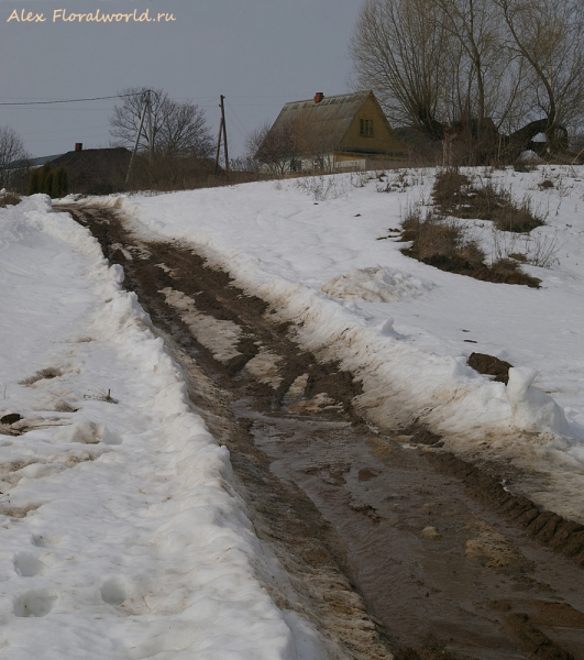 Весна
Ключевые слова: весна фото