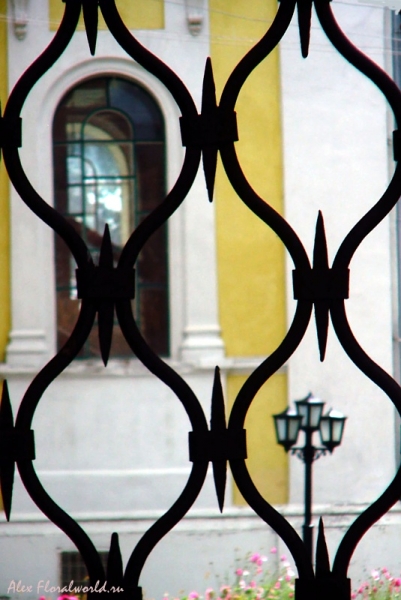 Через закрытые ворота
Ключевые слова: зарайск кремль ворота решетка