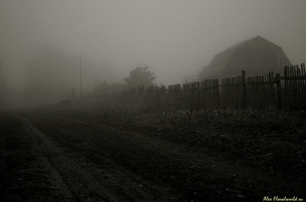 Улица в тумане
Ключевые слова: улица туман осень сумрак
