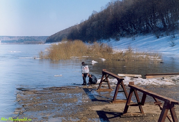 Вот детям радость - река разлилась
Ключевые слова: река Ока весна солнце разлив тепло