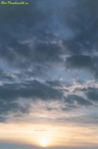 Закат, вид с балкона
Ключевые слова: закат солнце облака