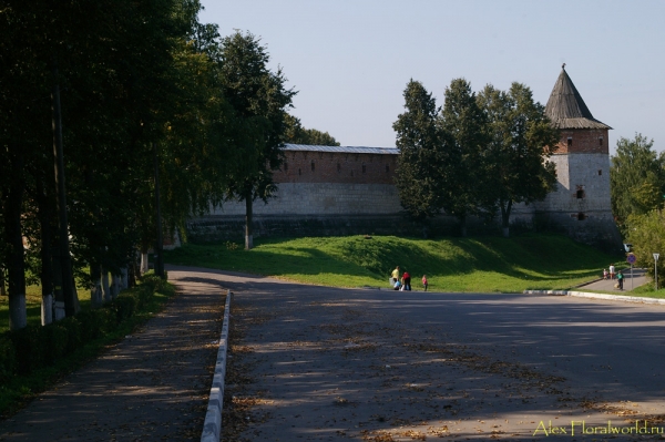 Зарайск, вид на стену кремля
Ключевые слова: зарайск башня стена кремль