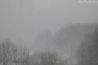 Snow_2010_3_1.jpg