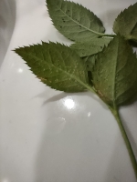1000533929.jpg